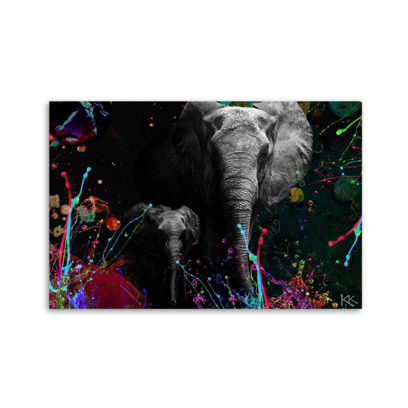 Leinwandbild modern - Elefant Bunte Abstrakt | Feeby
