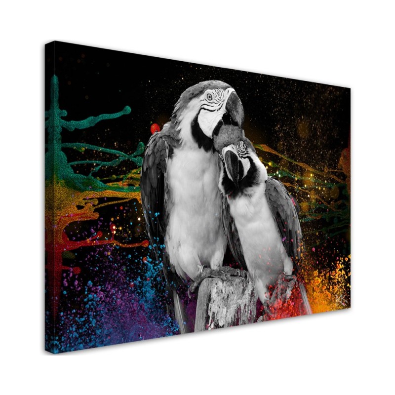 Leinwandbild - Bunte Papageien Abstraktion | Feeby