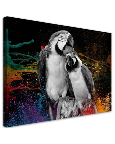 Colourful parrots abstract canvas wall art decoration | FEEBY