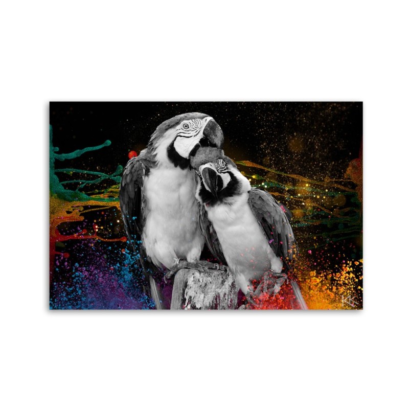 Leinwandbild - Bunte Papageien Abstraktion | Feeby