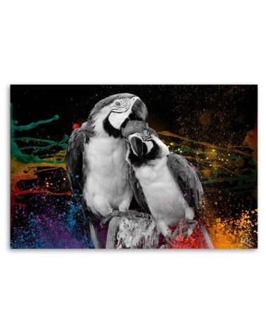 Leinwandbild - Bunte Papageien Abstraktion | Feeby