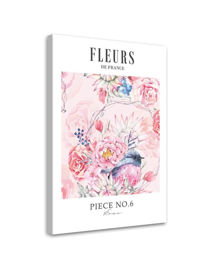 Bild - Shabby Chic pastellfarbene Pfingstrosenblüten | Feeby