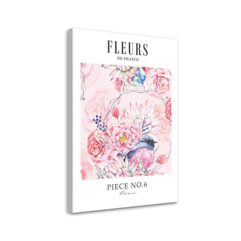 Bild - Shabby Chic pastellfarbene Pfingstrosenblüten | Feeby