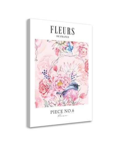 Bild - Shabby Chic pastellfarbene Pfingstrosenblüten | Feeby