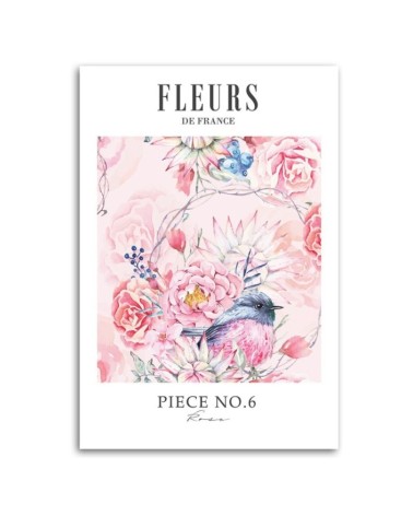 Bild - Shabby Chic pastellfarbene Pfingstrosenblüten | Feeby