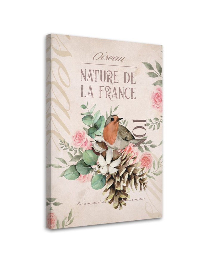 Dekoratives Leinwandbild - Shabby Chic Vogelblume | Feeby