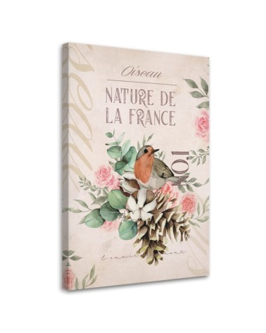 Dekoratives Leinwandbild - Shabby Chic Vogelblume | Feeby