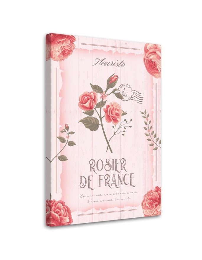 Leinwandbild - Puder Vintage Blumen | Feeby