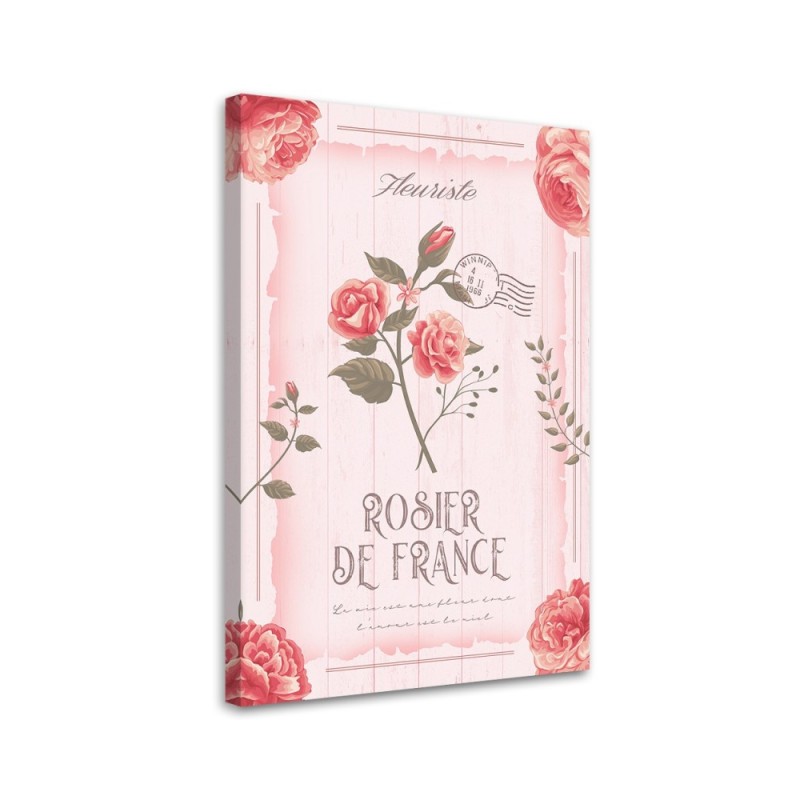 Leinwandbild - Puder Vintage Blumen | Feeby