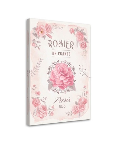 Leinwandbild modern - Frankreich Rosen Blumen | Feeby