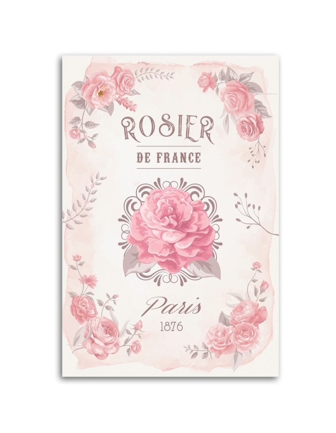 Obraz drukowany na ścianę - Francja Róże Kwiaty