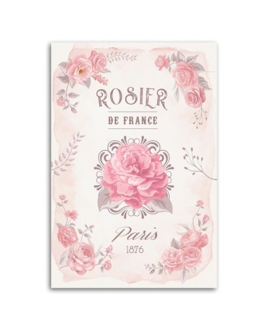 Leinwandbild modern - Frankreich Rosen Blumen | Feeby