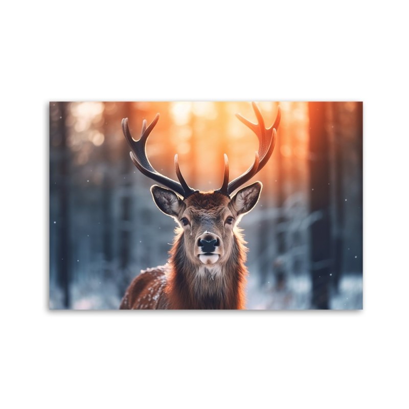 Bild - Hirsche auf dem Hintergrund des Sonnenuntergangs | Feeby