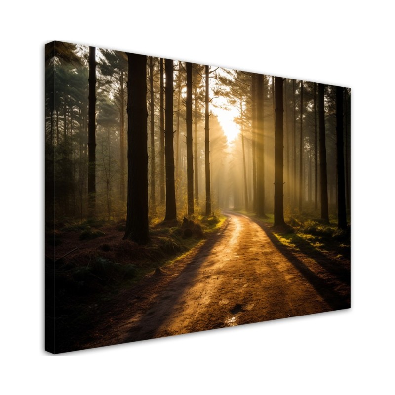 Bild auf Leinwand - Waldweg | Feeby