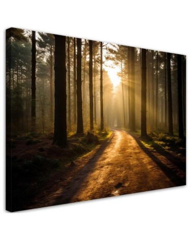 Wall painting for living room - Forest nature sunrise