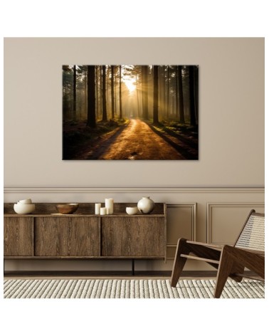 Bild auf Leinwand - Waldweg | Feeby
