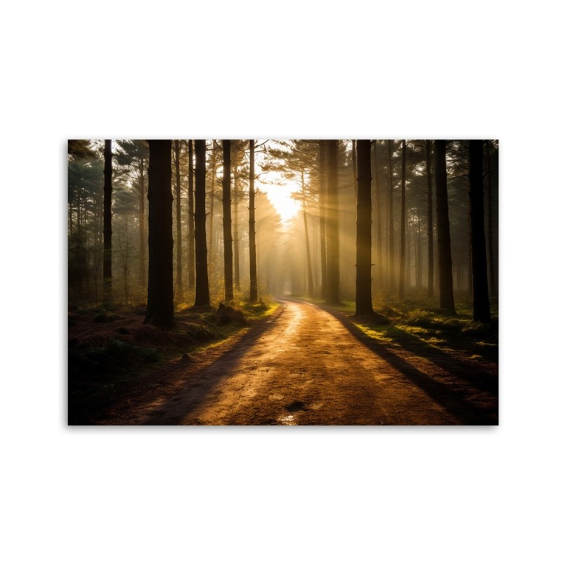 Bild auf Leinwand - Waldweg | Feeby