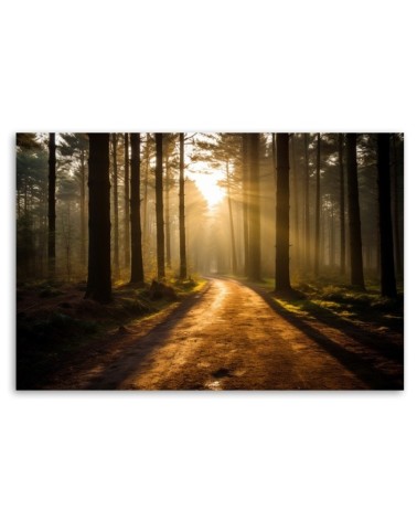 Bild auf Leinwand - Waldweg | Feeby