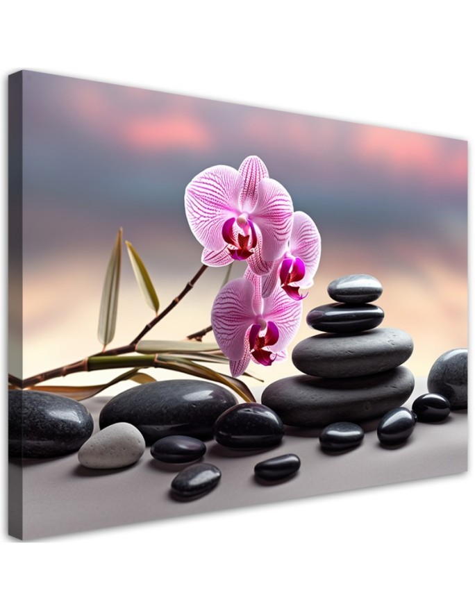 Obraz na ścianę do salonu - Storczyk Zen Spa