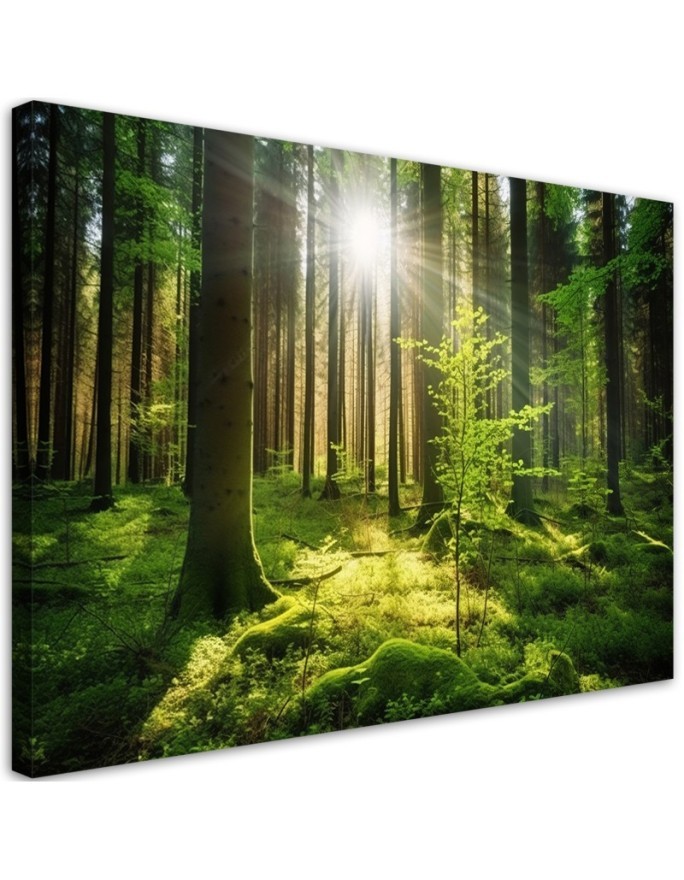 Wandbild für Wohnzimmer - Waldbäume Natur | Feeby
