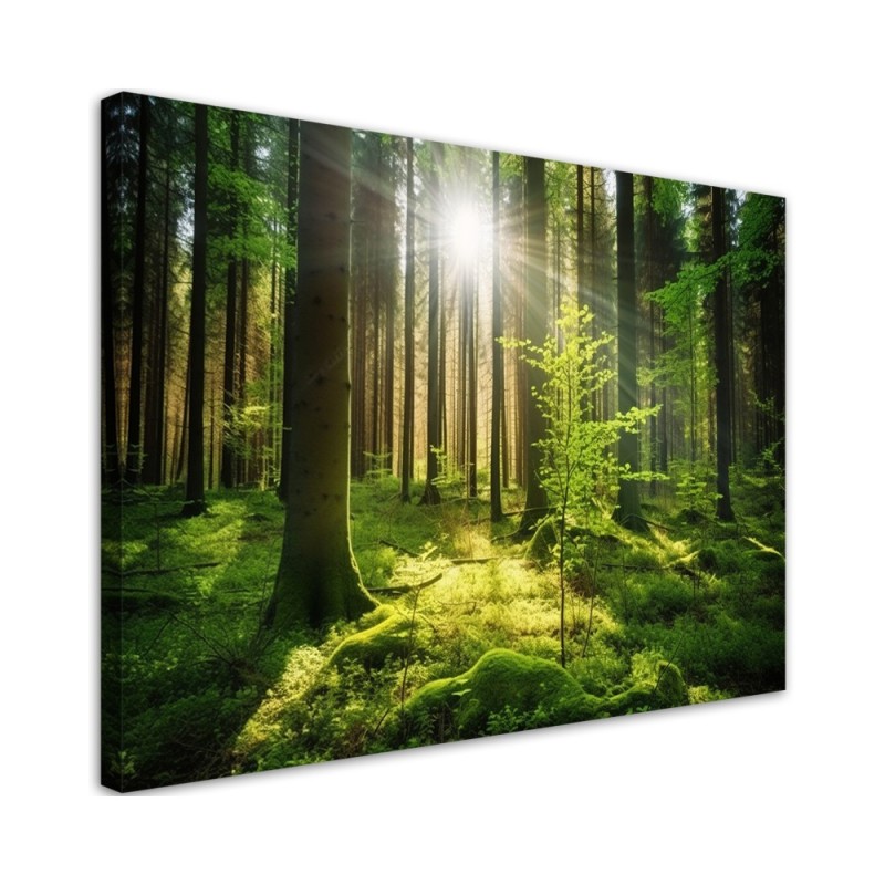 Wandbild für Wohnzimmer - Waldbäume Natur | Feeby