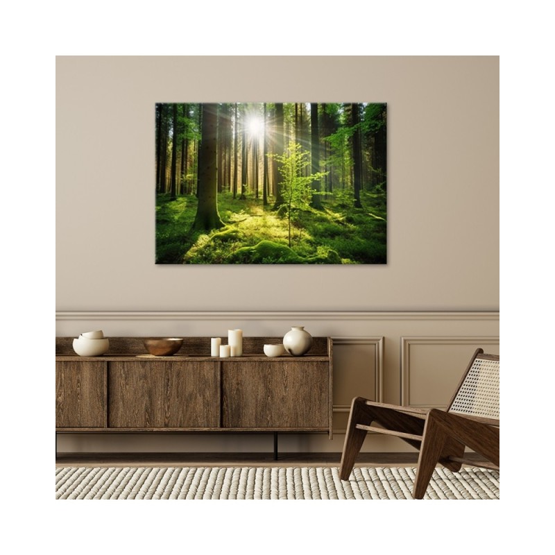 Wandbild für Wohnzimmer - Waldbäume Natur | Feeby