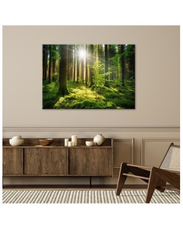 Wandbild für Wohnzimmer - Waldbäume Natur | Feeby