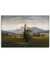 Obraz na płótnie - Samotne drzewo - Caspar David Friedrich | FEEBY