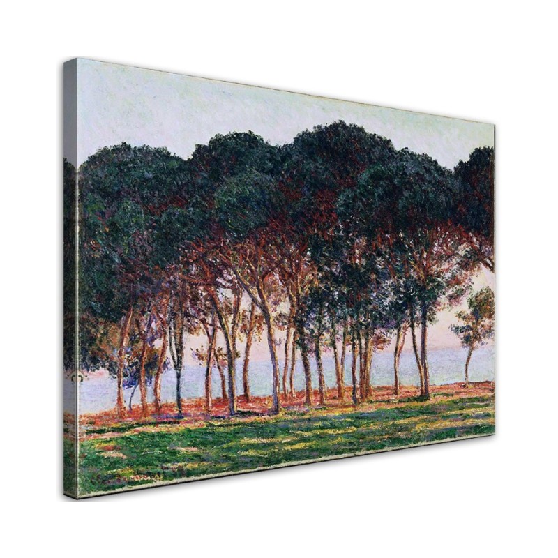 Leinwandbild - Unter den Kiefern - Claude Monet | Feeby