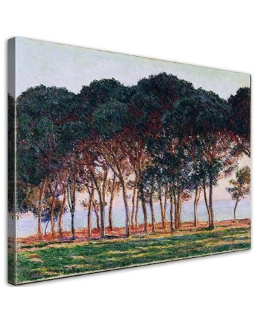 Leinwandbild - Unter den Kiefern - Claude Monet | Feeby