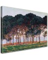 Obraz reprodukcja - Pod sosnami - Claude Monet | FEEBY