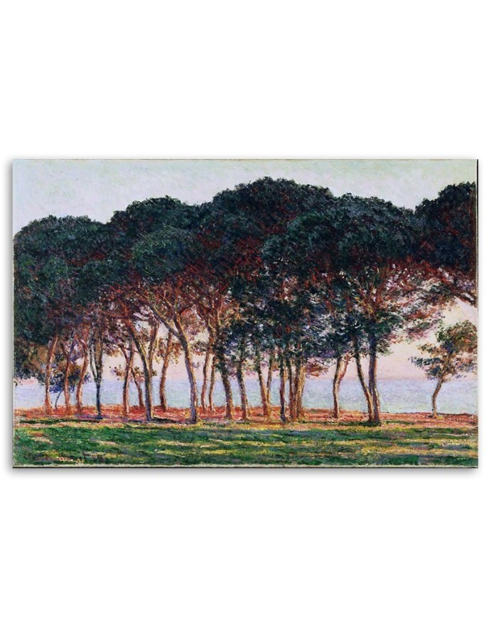 Obraz reprodukcja - Pod sosnami - Claude Monet | FEEBY