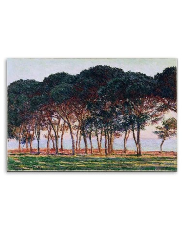 Leinwandbild - Unter den Kiefern - Claude Monet | Feeby