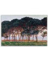 Obraz reprodukcja - Pod sosnami - Claude Monet | FEEBY