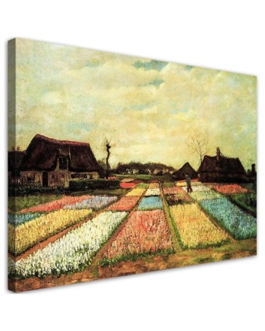 Modernes Wandbild - Blumenfelder - V. van Gogh | Feeby