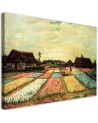 Obraz na płótnie - Pola kwiatowe - V. van Gogh | FEEBY