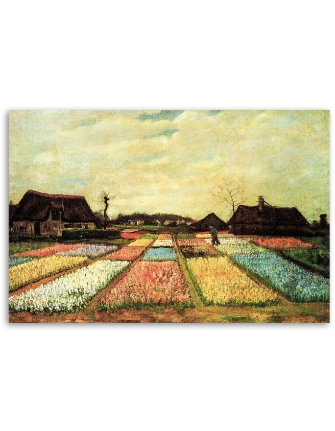 Obraz na płótnie - Pola kwiatowe - V. van Gogh | FEEBY