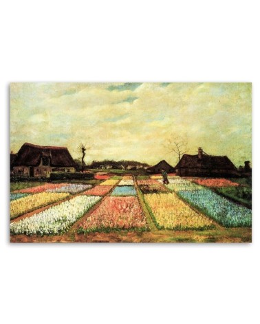 Modernes Wandbild - Blumenfelder - V. van Gogh | Feeby