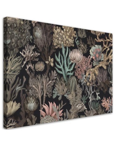 Canvas print for bathroom - Coral | FEEBY