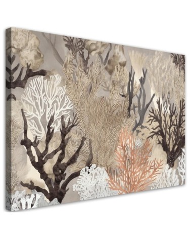 Bild auf Leinwand - Korallenpflanzen | Feeby