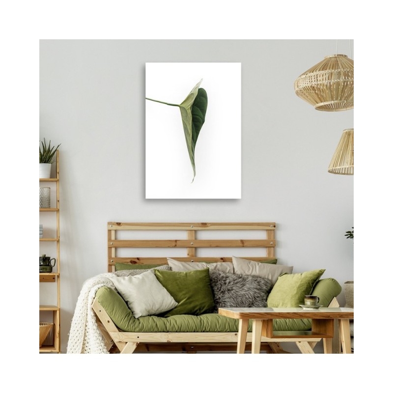 Modernes Wandbild - Grünes Blatt natur botanisch | Feeby