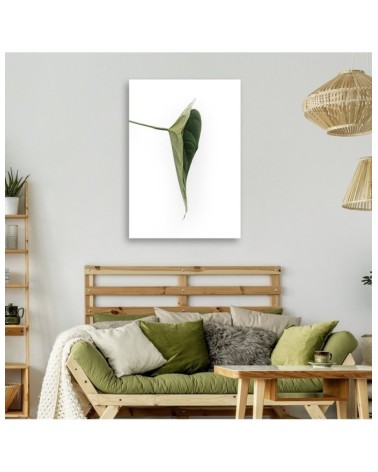Modernes Wandbild - Grünes Blatt natur botanisch | Feeby