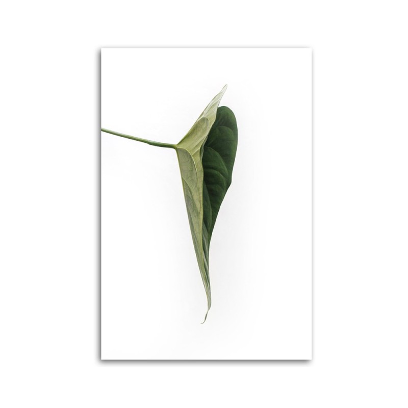 Modernes Wandbild - Grünes Blatt natur botanisch | Feeby
