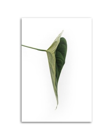 Modernes Wandbild - Grünes Blatt natur botanisch | Feeby