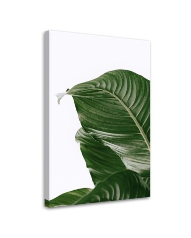 Wandbild für Wohnzimmer - Grünes Blatt natur botanisch | Feeby