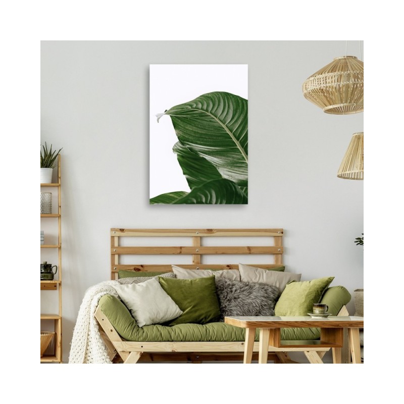 Wandbild für Wohnzimmer - Grünes Blatt natur botanisch | Feeby