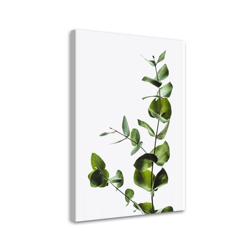 Leinwandbild - Grüner Zweig natur | Feeby