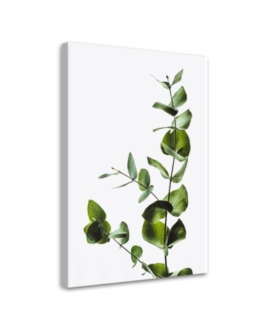 Leinwandbild - Grüner Zweig natur | Feeby