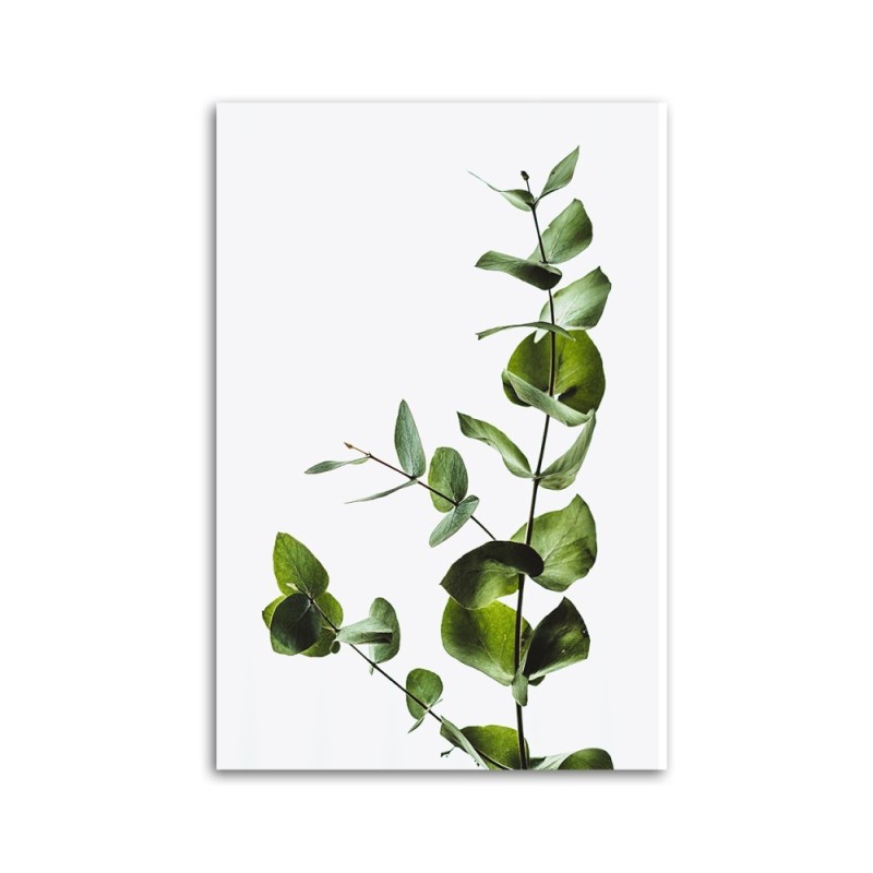 Leinwandbild - Grüner Zweig natur | Feeby