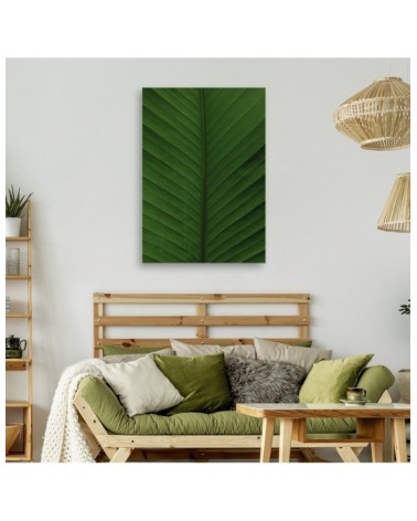 Bild auf Leinwand - Bananenblatt Makro | Feeby